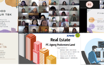 Specific Industry Audit class.