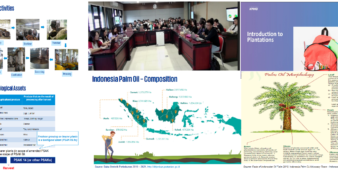 Kelas Audit Industri Spesifik KPMG Indonesia Pertemuan ke-2