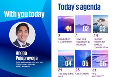 PERTEMUAN KE-2 KELAS AUDIT INDUSTRI SPESIFIK: E-COMMERCE